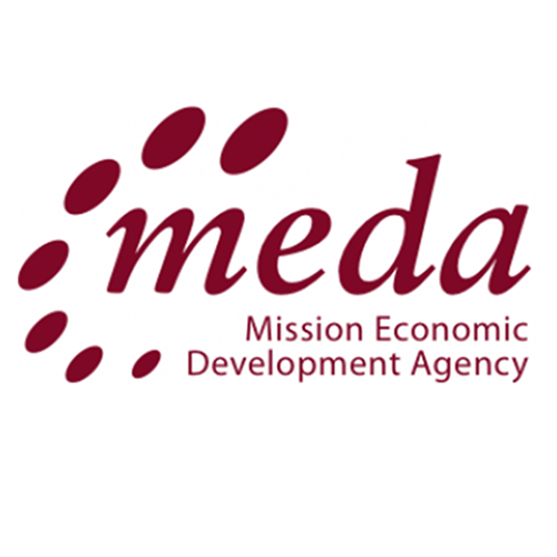 Partner Logo -  MEDA